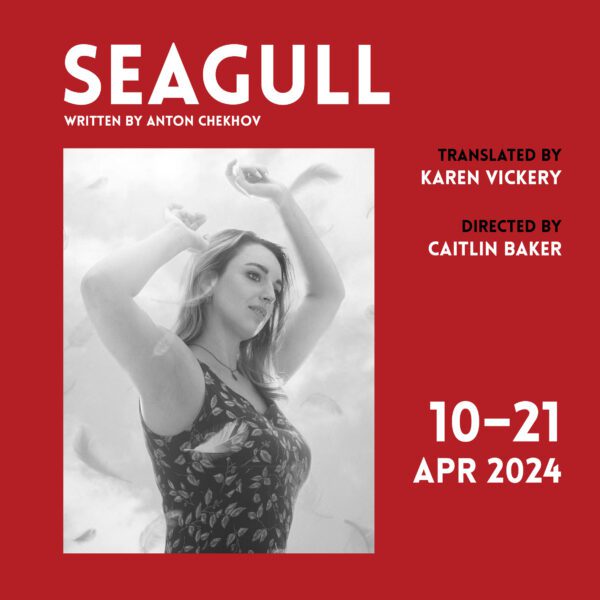 Seagull Feature image for Seagull